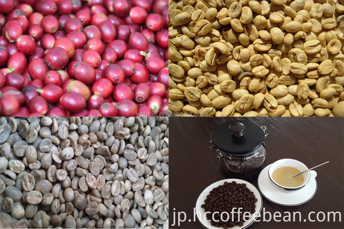 中国のブラックコーヒー、シェルコーヒー豆、シェルコーヒー付き